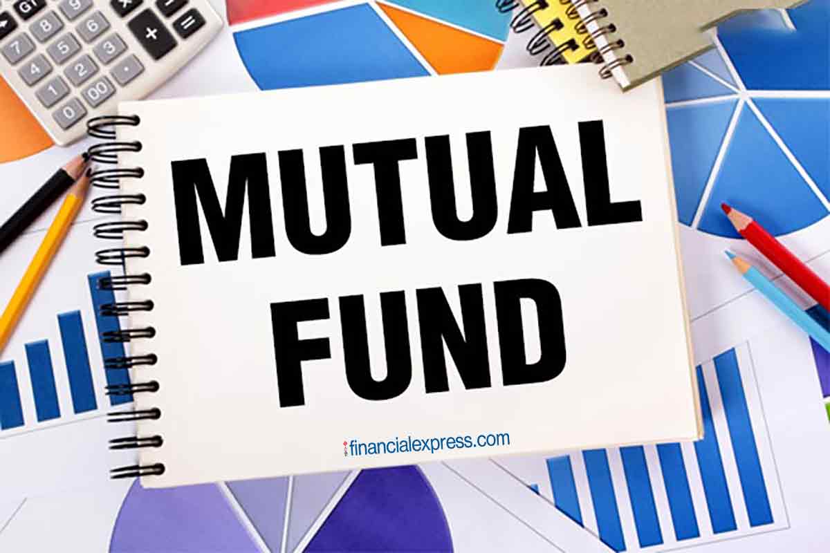 Mutual fund, MF, mutual fund investment, mutual fund portfolio, large cap fund, mid cap fund, multi cap fund, small cap fund, equity funds, number of funds to hold